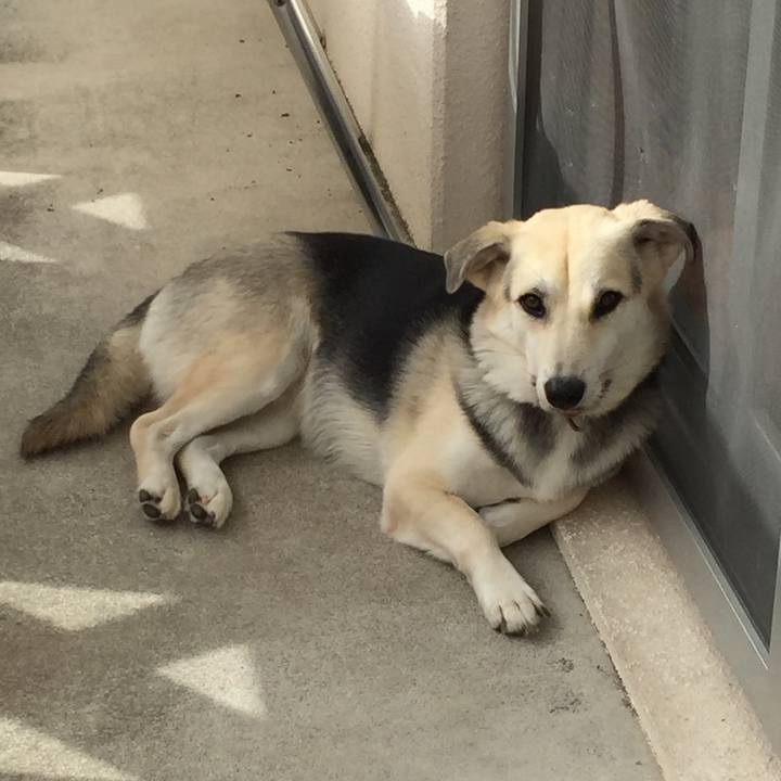 C34c8cc0 6914 4b96 bd6a fa090bcc5118