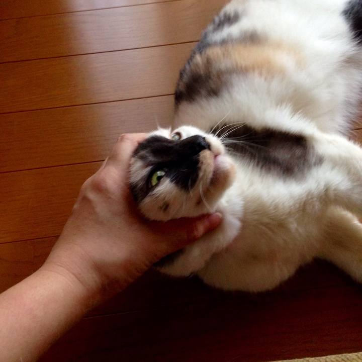 C34cfe75 a565 44e4 b099 962b7a981ee3