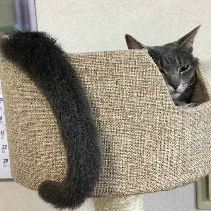 C34d245b 5fb5 4537 8a6e c71e5cbef756