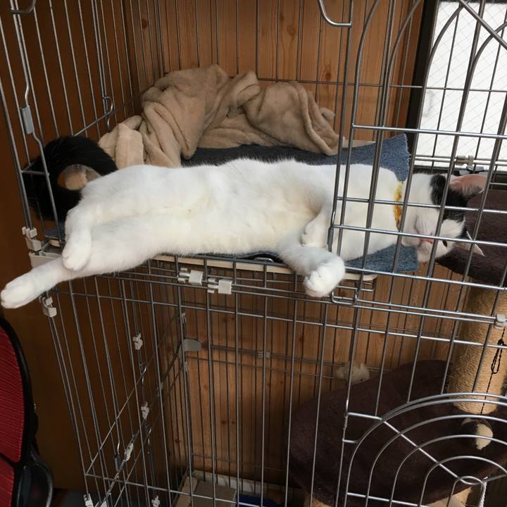 C34d5d20 eb2f 4852 8c43 3a9c9a074dde