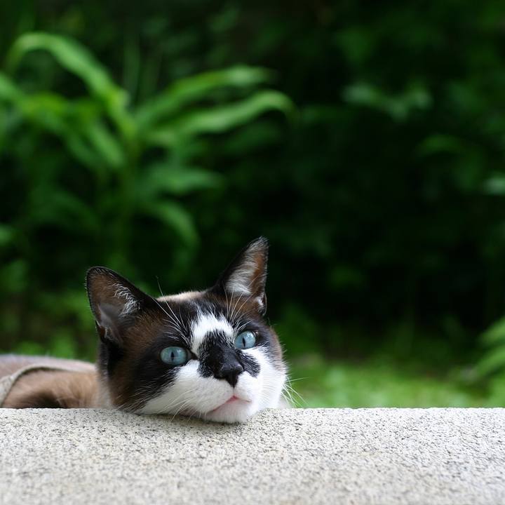 C34e9352 4878 4ace 91f3 cf2df92b2eeb