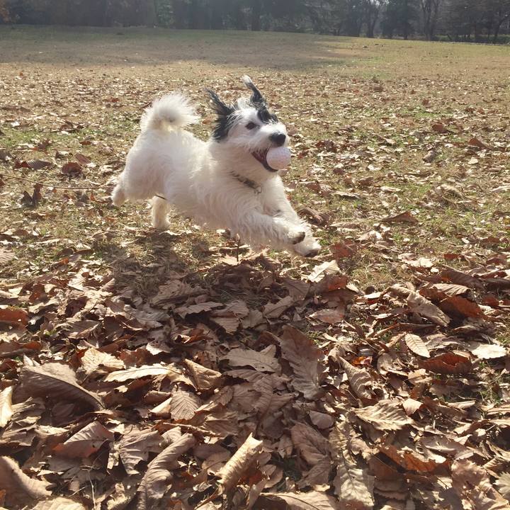 C34eee2f 65e5 4efa b421 55b0f39b4aa2