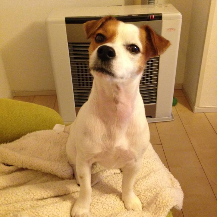 C34f4165 68ca 497d 8fa7 1515d3b9325b