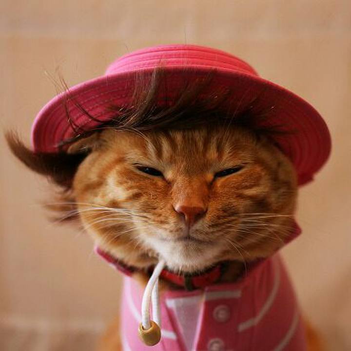 C34f6ddf 0488 4f0a b3d0 62b7a68788ef