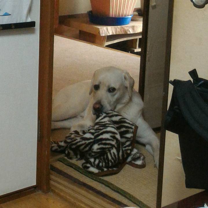 C34fae40 7465 47be 94c0 eb746c7c304c