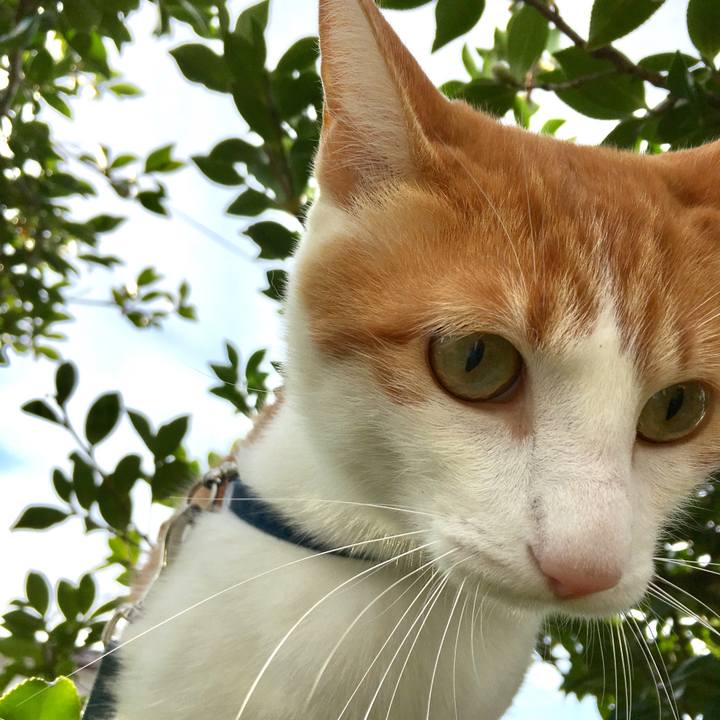 C35092c3 ece7 481c adb3 1a74640c0dd1