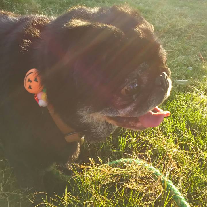 C3509cd9 4a31 4dfc bbab 11c508429d68