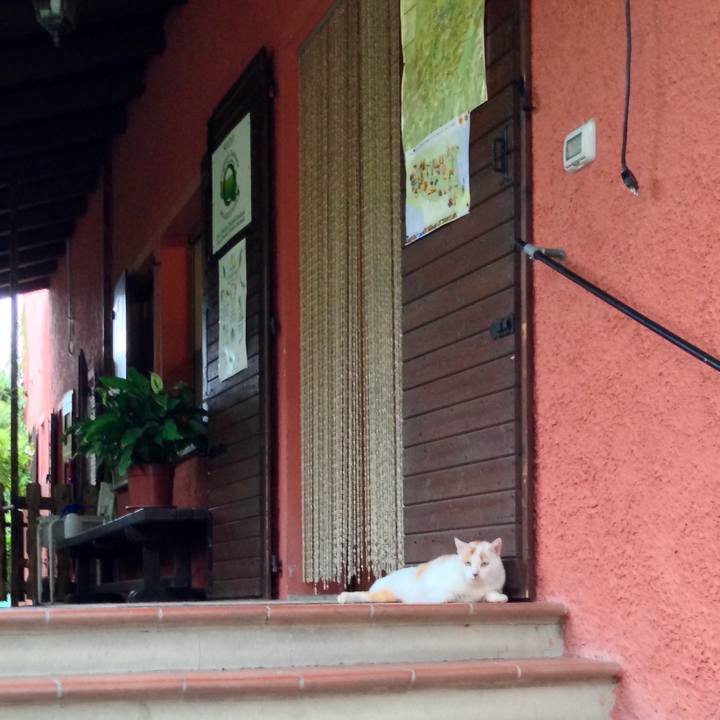 C3514902 1f8d 4e12 b777 4c1ff18ba0a2