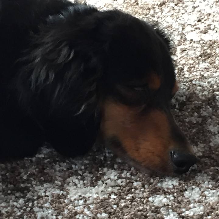 C35180b3 bcc6 4b74 a6cf 3fb443f20acb