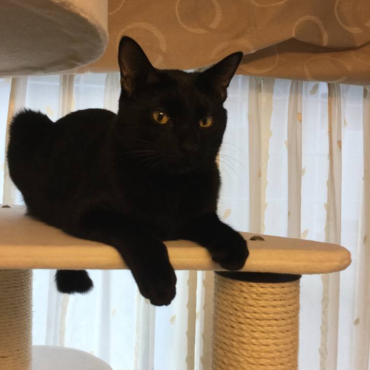 C351cc5a e011 43d7 b557 de1500b4212a