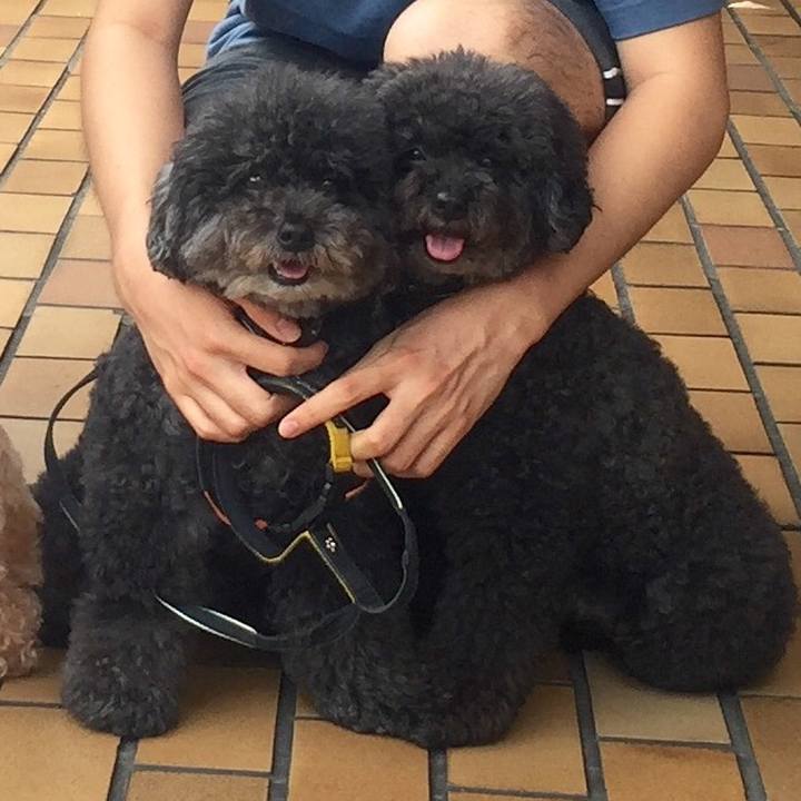 C351ea6f 3aaa 4b43 8399 2ec2862fefd2