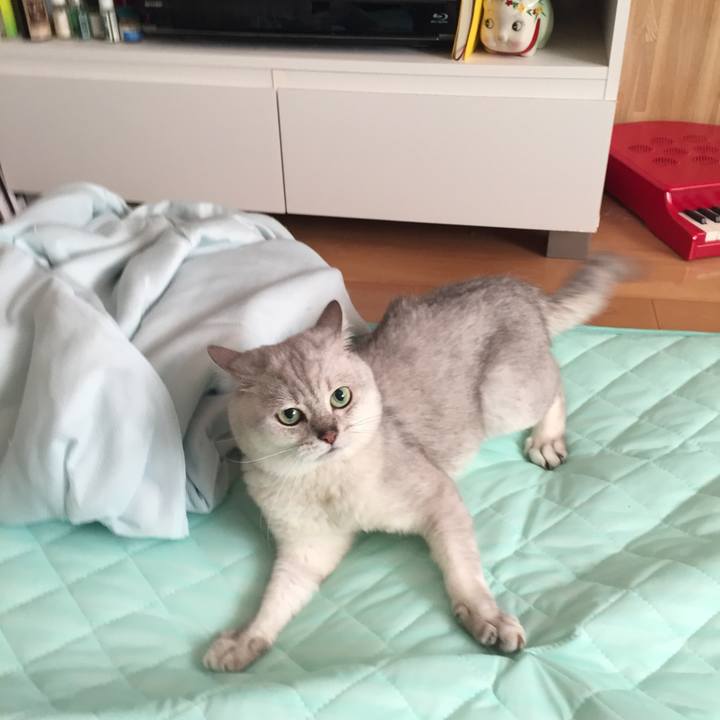 C3523551 4f0f 441d bbd4 9558b6b286e7