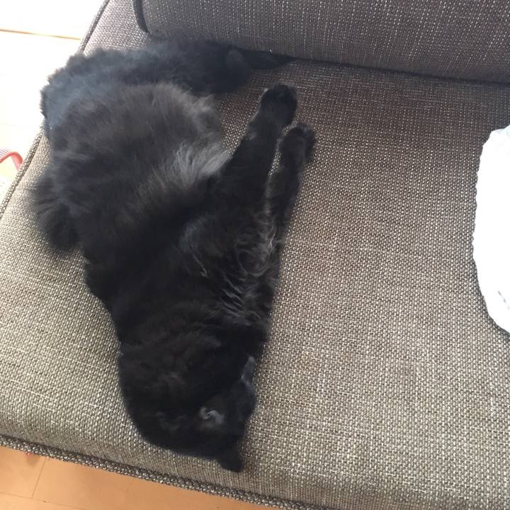 C352b012 0160 476e 9f5f 1c953809afa5