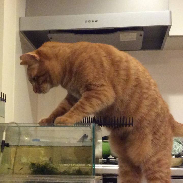 C352b4de bcd2 4ad3 baf7 ee9080ea0879