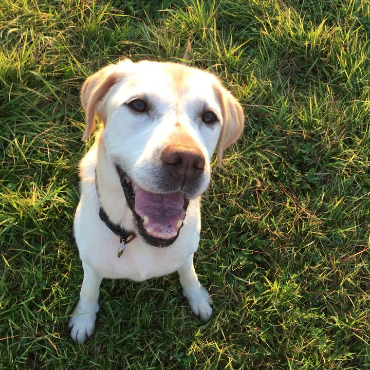 C352fb37 c0e3 4c6e b5f5 0144a163364e