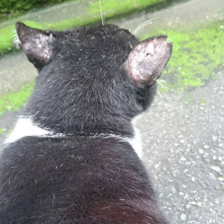 C3535d9c 2082 4aee 82f1 e14790aef275