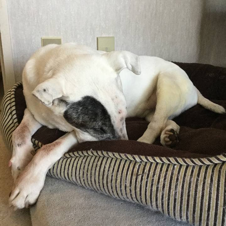 C35398b4 3a21 43ff 8ab0 12cdfe1b39d1