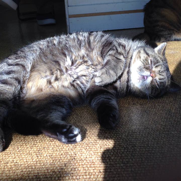 C3540e1c 2601 4ada 81e2 2639010cc694