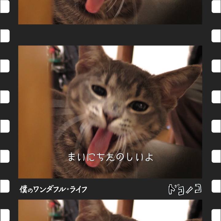 C3543765 3e9a 4d58 ae78 9159ebde3f44