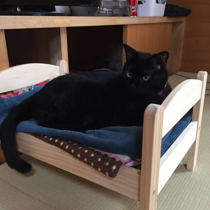 C3548204 8c49 4ae6 aab0 abce4dd7cd46