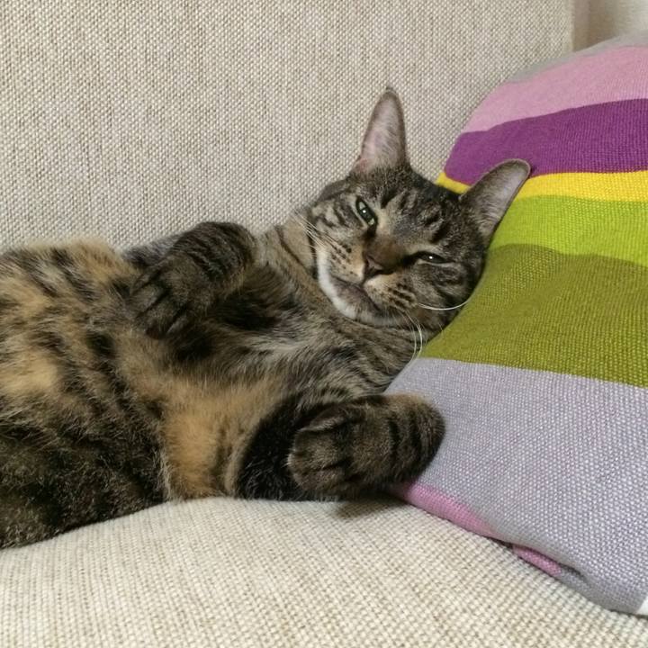 C35587bc 3f6f 40c6 9bd2 984208a01cc4