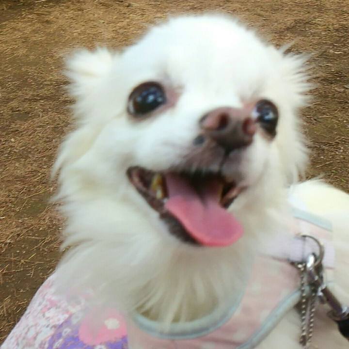 C3563849 267c 4558 be88 e7da7bc97a8b