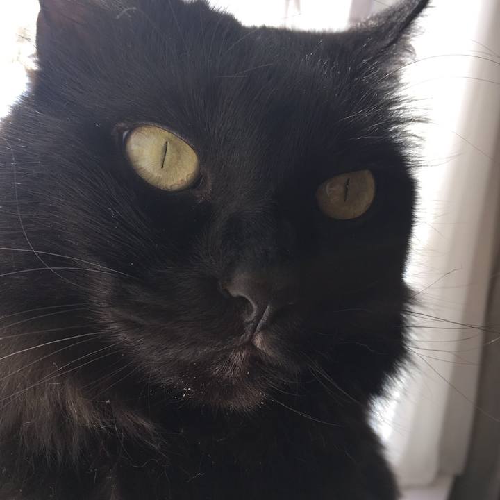 C3572adc 393c 4b55 b114 f33932f0ac42