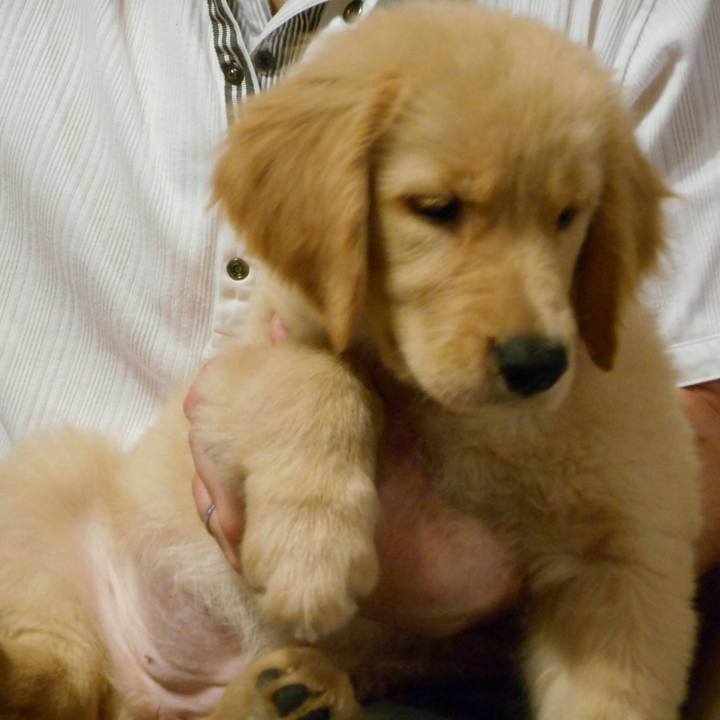 C3584f7b 49d2 4298 b621 c6af0ff2f4b1