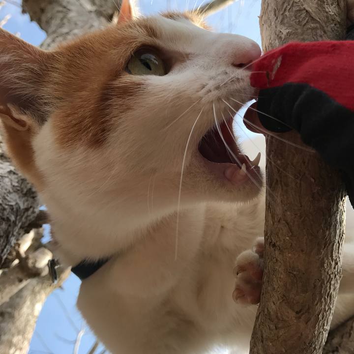 C3585a19 1407 4485 9ffa 034864cf4fd7