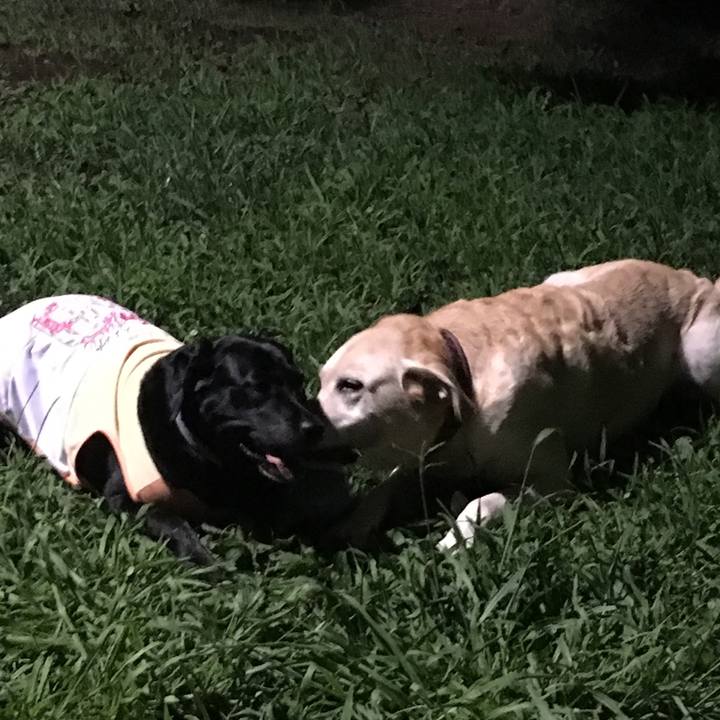 C358ba1e 5921 4e8c 8f18 27adae1de19b