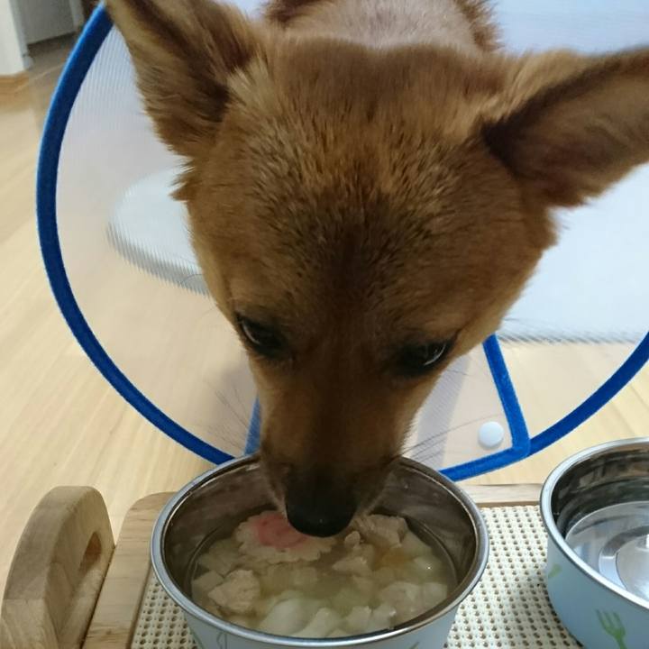 C3598d4d 2596 4510 bc85 f8ad9edc1aba