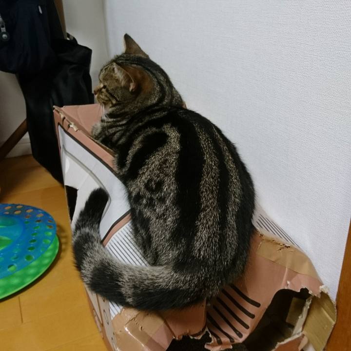 C359991b ad8a 445c 9f42 9c86d016039d