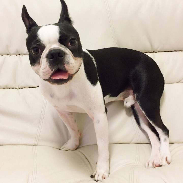 C359cb4a 7ca5 42e2 a997 c3cf00559ee5