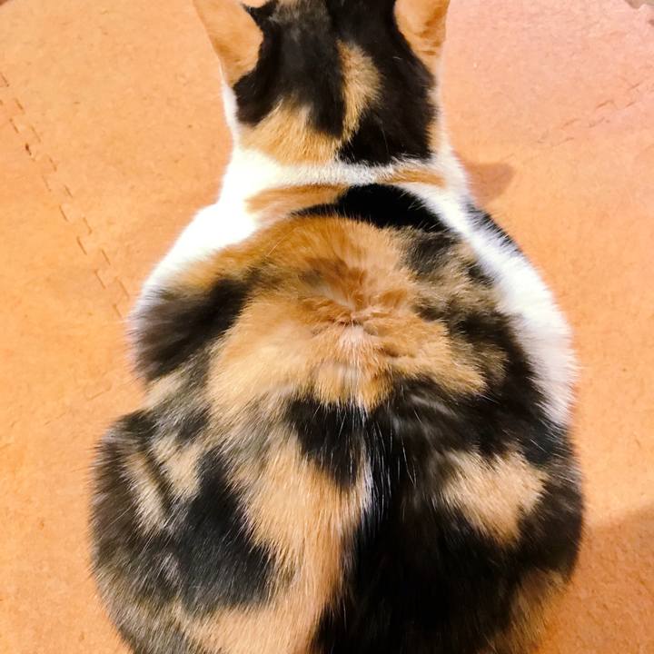 C359dee6 ddcc 4652 9bcf 434b77aa3b7e