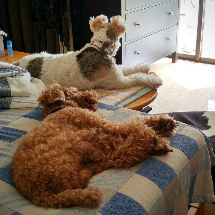 C35aaccd 0e5d 4ea3 98dd 888a34fc661d