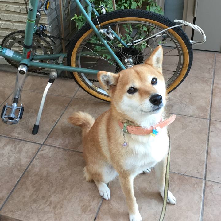 C35b9692 184b 4594 a86e eeae4bd4c145