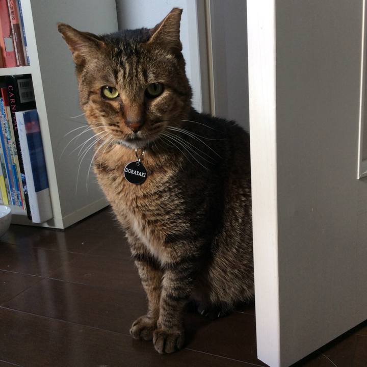 C35baaa0 2cf0 43e1 a296 96853c73c07b