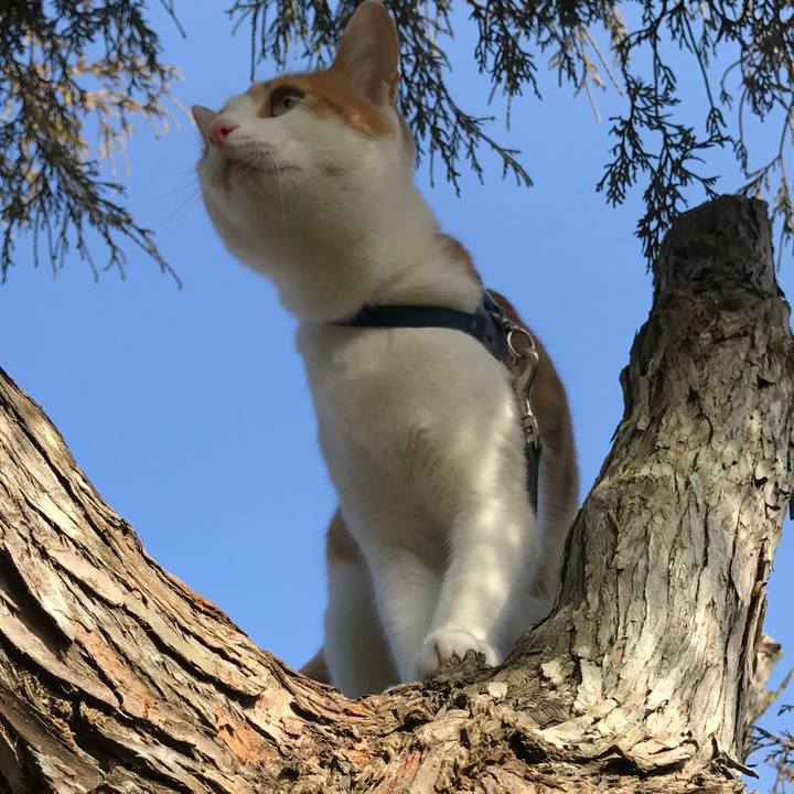 C35c009d e0b2 4e7f 8c00 eb390e206238