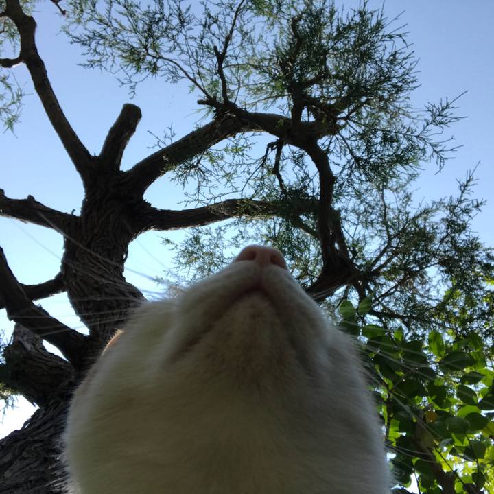 C35c43b0 5414 4602 8d4e 7462741885fd