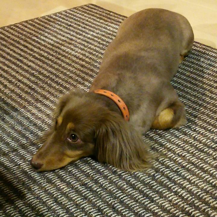 C35c53a0 1e43 43b2 8d65 1770ae863c21