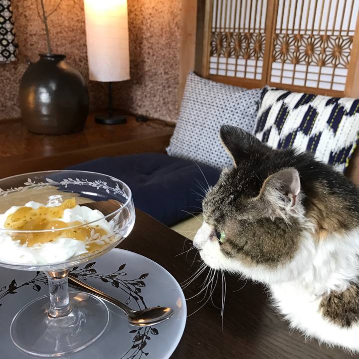 C35ce14a ede3 46ac 9467 2fb0b4333642