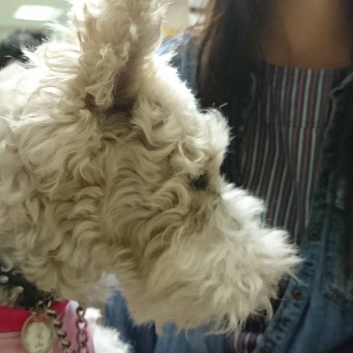 C35ce236 09d3 41e3 a360 dd86282120a0