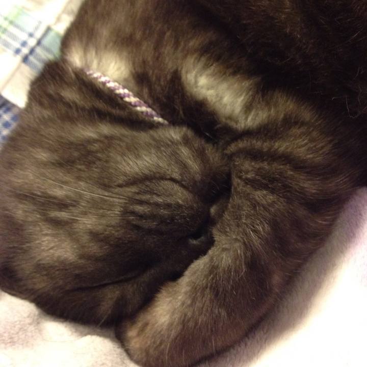 C35d468b d96d 4f87 8258 c5c8ada3446b