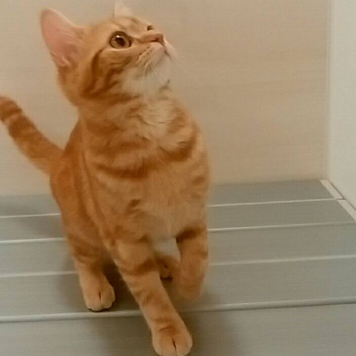 C35dc0ea aadf 4fdb 91ec 9d55453202c8