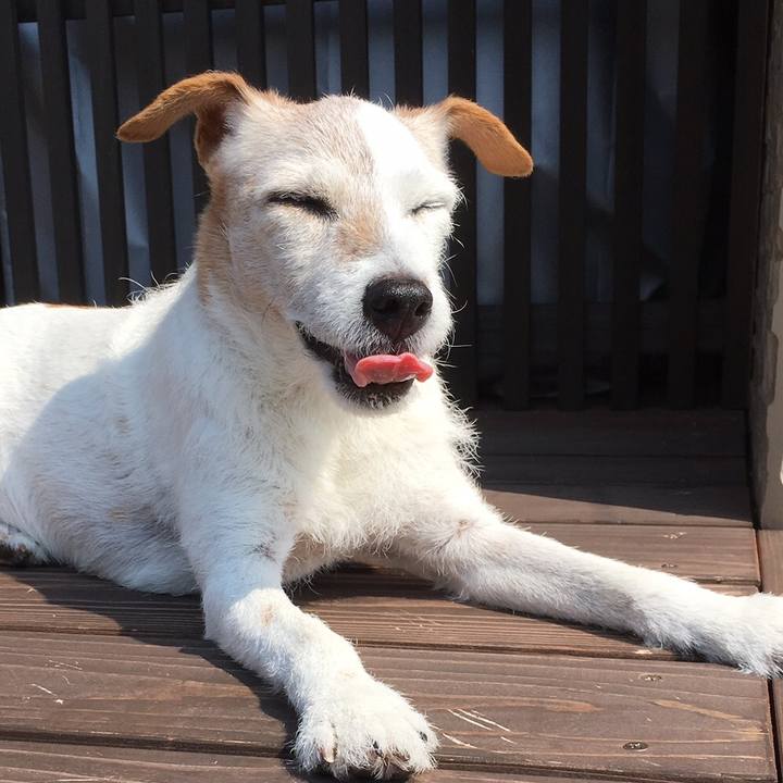 C35dc30d bb3c 4c54 ad63 bd9830b2d5ac