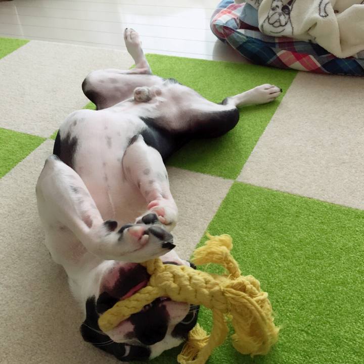 C35e0469 22a5 4904 a3a4 895b832c4ed5