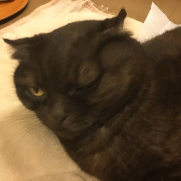 C35ead42 21a6 42db b639 bfbf9432069f