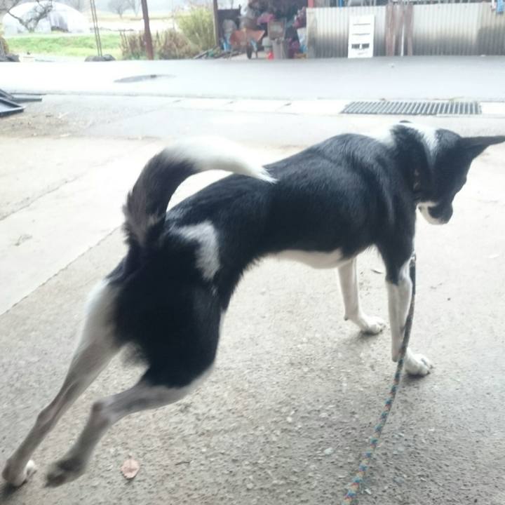 C35f4573 44c7 4633 8348 29cb90deaa11