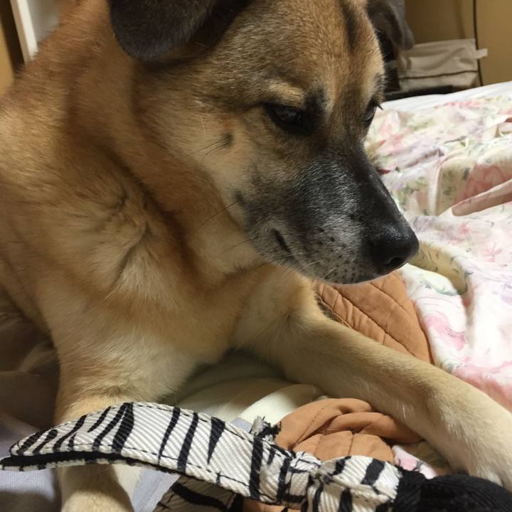 C360b866 97b1 4490 b522 23ab6cf0b468