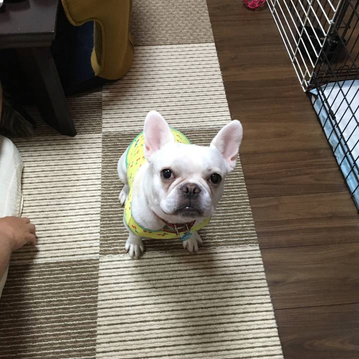 C361b90b fbe5 4a4a a014 87a182b36c58